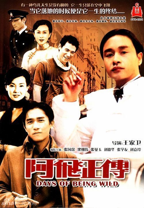 佛罗里达地址证明怎么买高仿